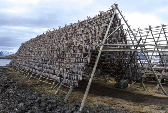 Dried Stockfish