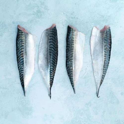 mackerel fillets