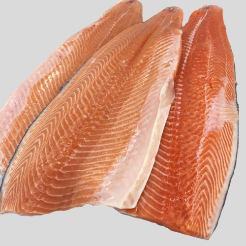 wholesale salmon supplier