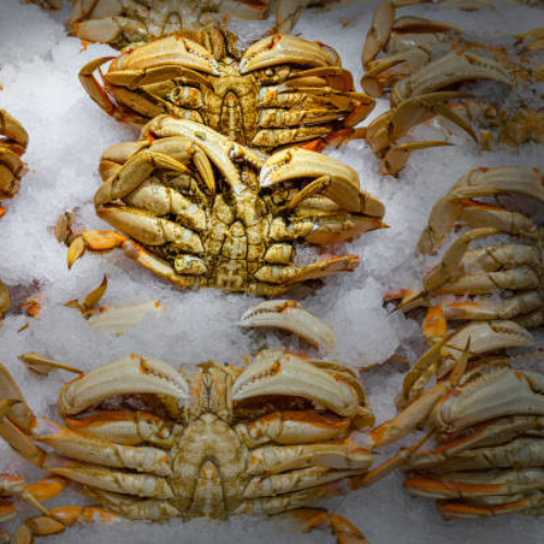Frozen Crab exporters