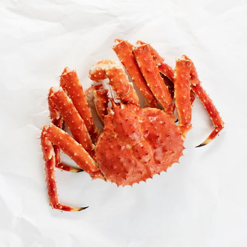 Fresh and Frozen Live King Crab for Sale