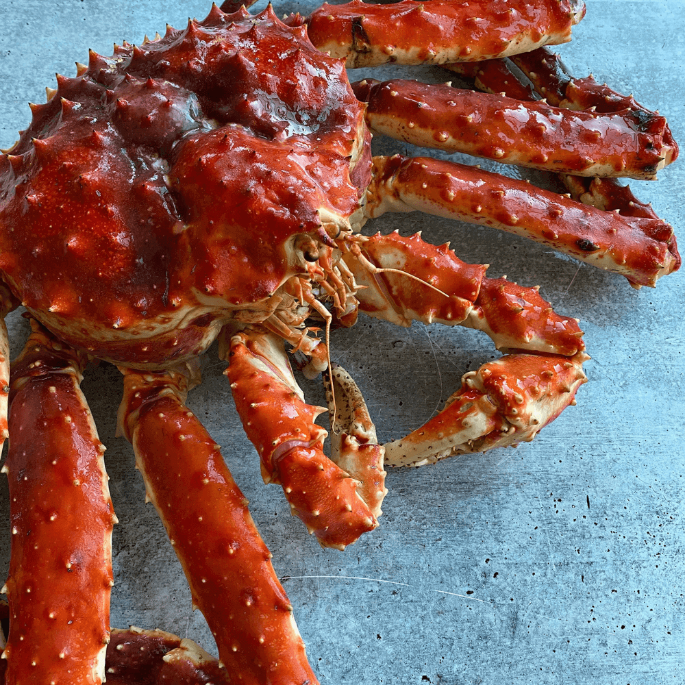 Wholesale Live King Crab Suppliers
