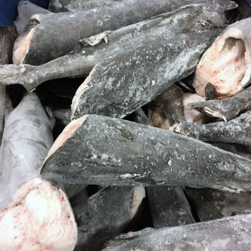 Frozen Atlantic Cod for sale