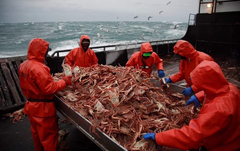 sustainable seafood destributors