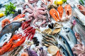 Verified Seafood Distributors in Europe