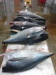 seafood distributors for supermarkets
