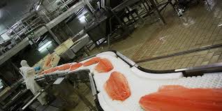 Verified European seafood companies