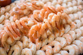 fresh shrimp wholesaler