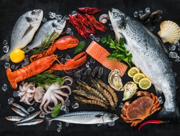 Seafood Industry Insights