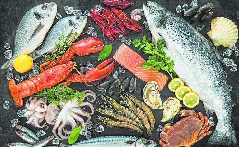 Seafood Industry Insights