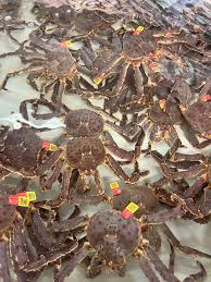 live king crab demand USA
